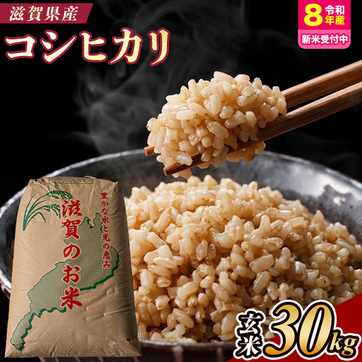【令和8年産 新米 先行予約】近江米コシヒカリ 30kg（玄米）※2026年9月～発送 (173433-40043430)