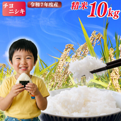 米 精米 10kg 令和7年度産 チヨニシキ 米 kome