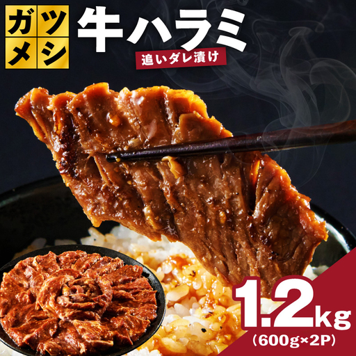 ガツめし牛ハラミ 1.2kg 追いダレ漬け