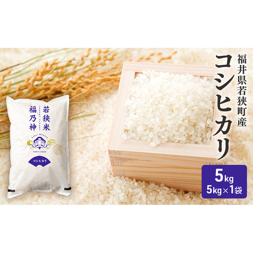 【10月お届け】令和8年産 若狭町コシヒカリ5kg 米 お米 こしひかり 福井県