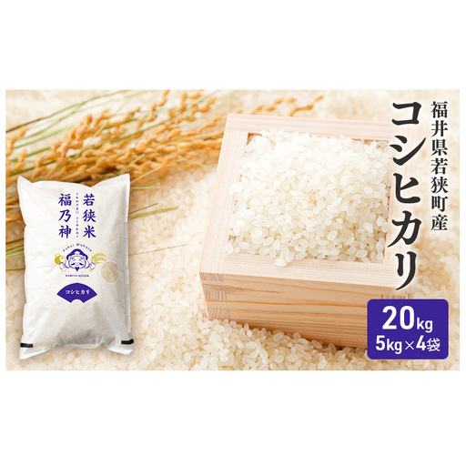 【10月お届け】令和8年産 若狭町コシヒカリ20kg 米 お米 こしひかり 福井県