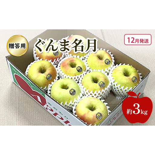 りんごぐんま名月贈答用 青森県産 りんご[約3kg]