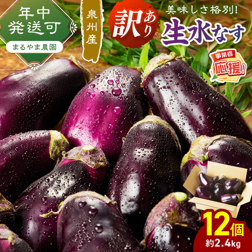 まるやま農園 泉州生水なす訳あり品 12個入り【ふるさと納税3.0】【087D-127】