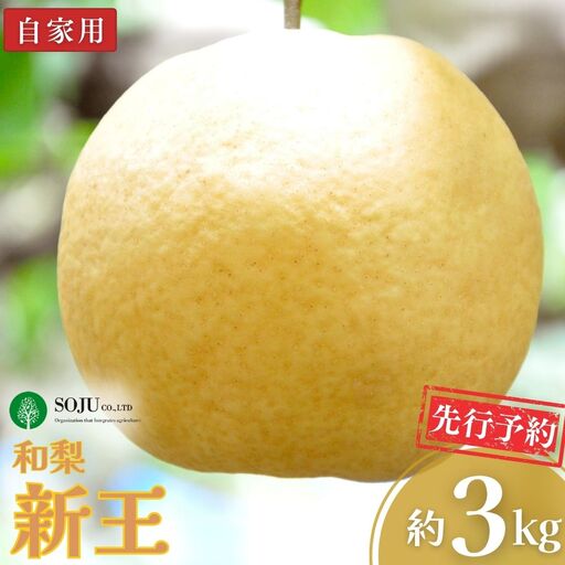 先行予約 新潟オリジナル和梨 新王 自家用 約3kg 令和8年度 新潟県 三条市産 三条果樹専門家集団
