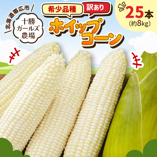 先行受付【十勝ガールズ農場】訳あり 希少品種「ホイップコーン」25本【配送不可地域：離島】【1719277】