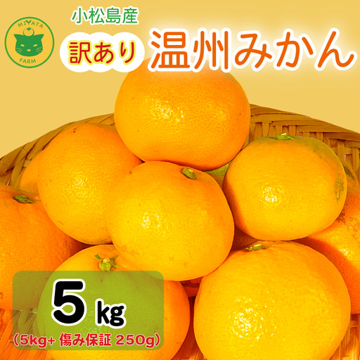 【2026年12月発送】訳あり 温州みかん 5kg + 250g(傷み補償分) みかん