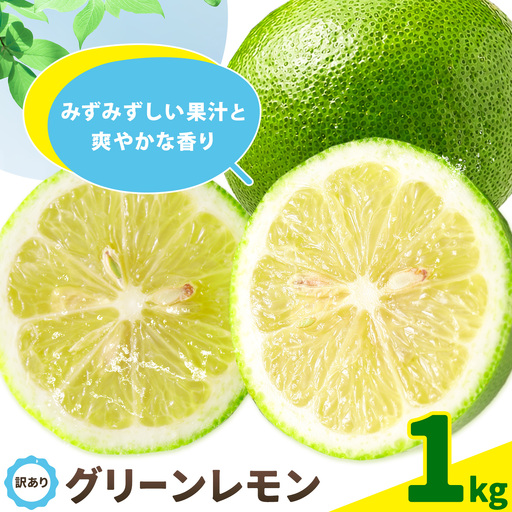 訳あり グリーンレモン 山本農園 1kg