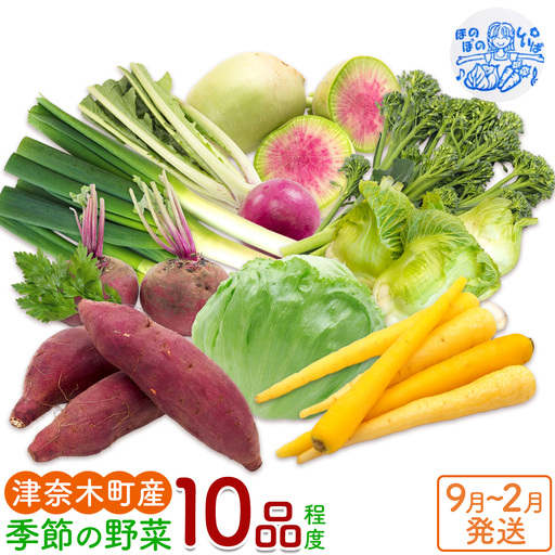 野菜 季節の野菜 10品 詰め合わせ セット ほのぼのしいば農園[9月上旬-2月下旬頃出荷]