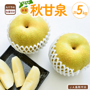 [倉吉産]梨 秋甘泉 5kg 梨