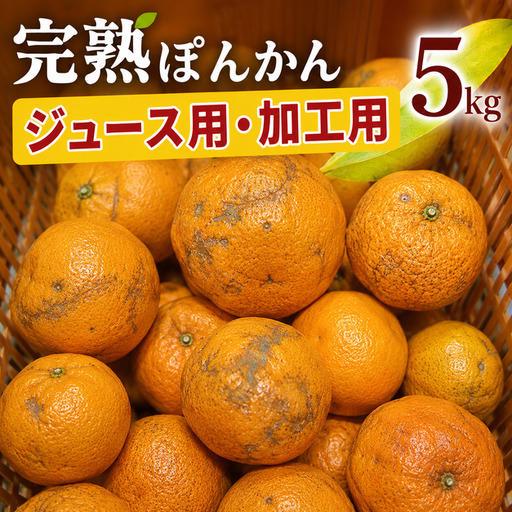 [先行予約]ジュース用訳ありぽんかん [5kg]