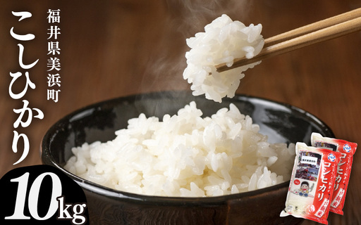 【先行予約】【令和7年産】米 コシヒカリ 計10kg （5kg × 2袋）精米 福井県美浜町産 【2026年7月下旬発送予定】 [m60-b004_07]