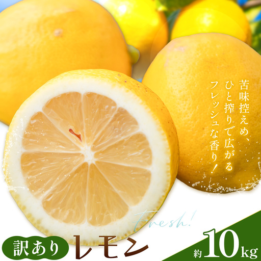 レモン 訳あり 10kg 株式会社農業福祉研究機構