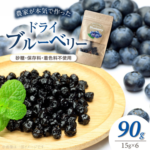 [無添加・砂糖不使用]農家が本気で作ったドライブルーベリー(15g×6パック) ドライフルーツ 乾燥 自然派 シンプル やさしい 甘酸っぱい