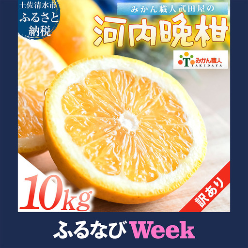 訳あり 河内晩柑 10kg みかん職人武田屋【R01617-1】