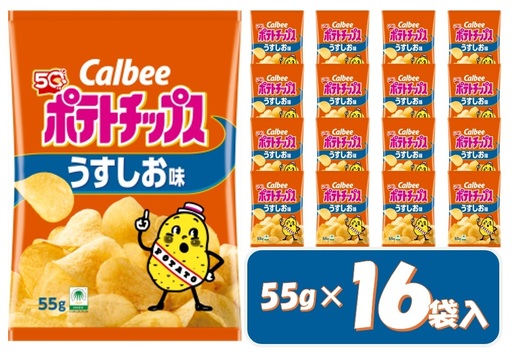 1378 カルビー ポテトチップス うすしお味 16袋