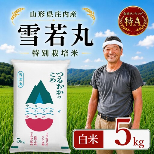 【令和7年産】 特別栽培米 雪若丸 精米 5kg (5kg×1袋)　山形県 庄内産 　| ゆきわかまる 5キロ 米 お米 コメ 白米 食品 ご飯 ごはん 美味しい おいしい ブランド米 庄内米 エコ包装 おすすめ 人気 山形県 鶴岡市 東北 国産 お取り寄せ SDGs未来都市鶴岡 返礼品