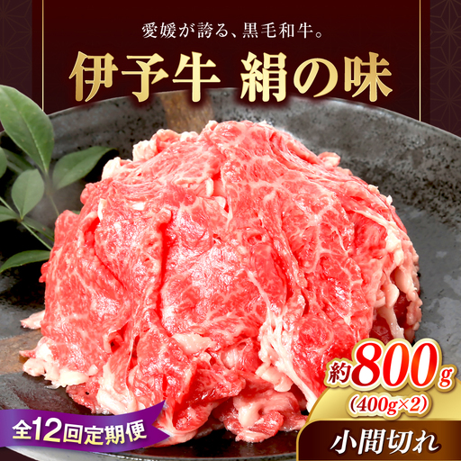 【12回定期便】伊予牛「絹の味」黒毛和牛 800g 定期便 BJAT012 