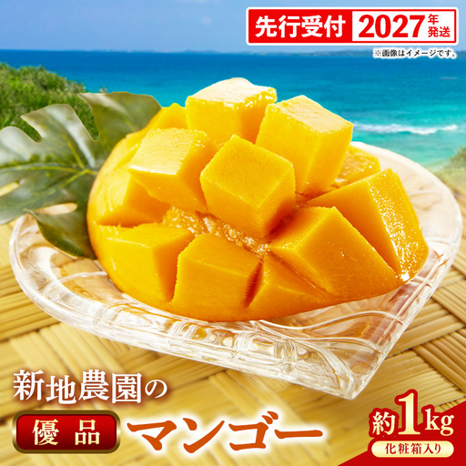 【化粧箱入り】【先行受付・2027年発送】新地農園 アップルマンゴー 優品 約1kg （2～3玉）- 産地直送 先行予約 沖縄県産 贈り物 ギフト 南国フルーツ 旬の味覚 オススメ 沖縄県 八重瀬町