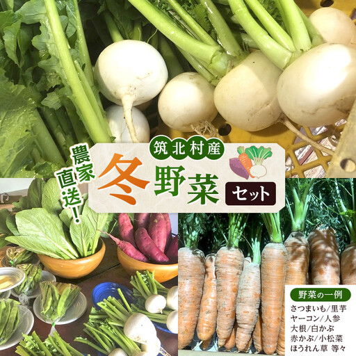 先行予約【2026年11月上旬頃～順次発送予定】ちっくほっくふぁ～む　冬野菜セット| 筑北村 農産物詰合せ 冬収穫野菜 寒締め野菜 甘み増す食材 食卓活用 煮込み料理 鍋料理向け 日常調理 家庭用 人気 おすすめ 野菜 食材セット 食事素材 料理材料 季節野菜 食材利用 お取り寄せ 通販 送料無料 ふるさと納税