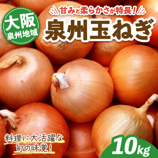 泉州玉ねぎ 10kg | 野菜 やさい 伝統野菜 泉州玉ねぎ たまねぎ 玉葱 ネギ 産地直送 大阪府 泉大津市 ※2026年7月〜発送