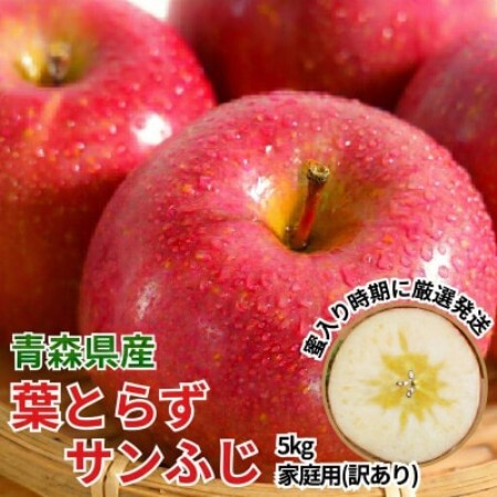 11-12月蜜入り時期に発送! 平均糖度13度以上 葉とらずサンふじ 約5kg 訳あり 青森 りんご【配送不可地域：沖縄県】【1740610】