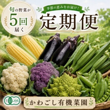 【発送月固定定期便】旬の沖縄野菜(とうもろこし・ナス・オクラ・カリフローレ・スナップエンドウ)全5回【配送不可地域：離島】【4087561】