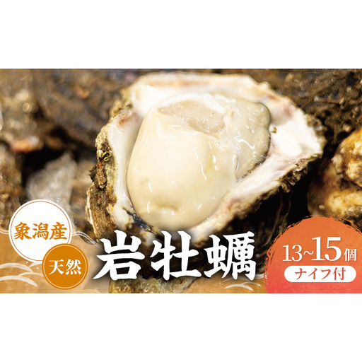 【先行予約】天然岩牡蠣 13~15個 生食可 象潟産 ナイフ付 牡蠣