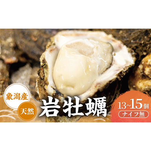 【先行予約】天然岩牡蠣 13~15個 生食可 象潟産 ナイフ無 牡蠣