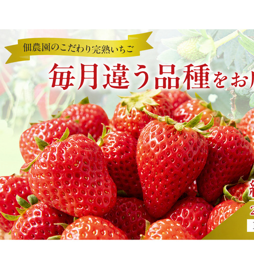 いちご あすかルビー 古都華 奈乃華 奈良県産 いちご[270g×2パック][定期便3回][先行予約]