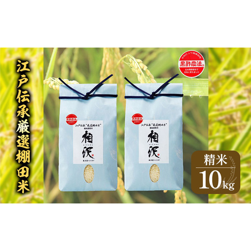 【令和8年産 先行予約】江戸伝承厳選棚田米10kg（5g×2） お米 コメ