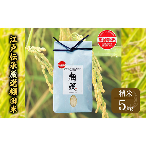 【令和8年産 先行予約】江戸伝承厳選棚田米5kg お米 コメ