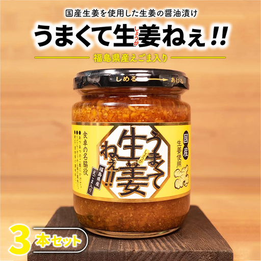 うまくて生姜ねぇ!! 3本セット | しょうが 国産 醤油漬け ごはんのお供 お弁当 調味料 おつまみ 肴 薬味 隠し味 猪苗代町 福島県