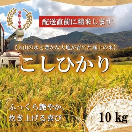 令和7年 鳥取県産　山崎農園こしひかり10kg【1725698】