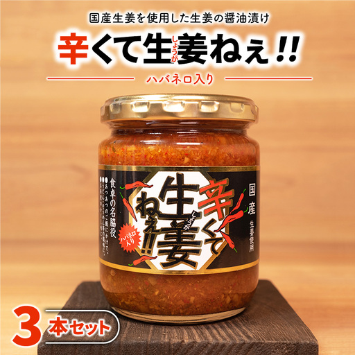 辛くて生姜ねぇ!! 3本セット | しょうが 国産 醤油漬け ハバネロ ごはんのお供 お弁当 調味料 おつまみ 肴 薬味 隠し味 猪苗代町 福島県