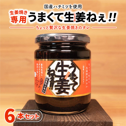 うまくて生姜ねぇ!!生姜焼き専用 6本セット | しょうが 国産 醤油漬け しょうが焼き タレ ごはんのお供 調味料 薬味 隠し味 猪苗代町 福島県