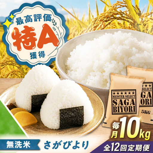 【12回定期便】 無洗米 さがびより 10kg（5kg×2袋） 無洗米 お米 白米 精米 佐賀県産 米 /大塚米穀店[UFE008]