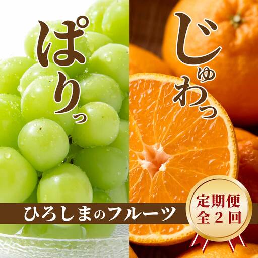 ひろしま フルーツ定期便 〜 シャインマスカット 不知火 (しらぬい)〜[全2回定期便]数量限定☆先行受付 フルーツ 果物 くだもの 産地直送 ぶどう ブドウ みかん 柑橘 三原・世羅共通返礼品 広島