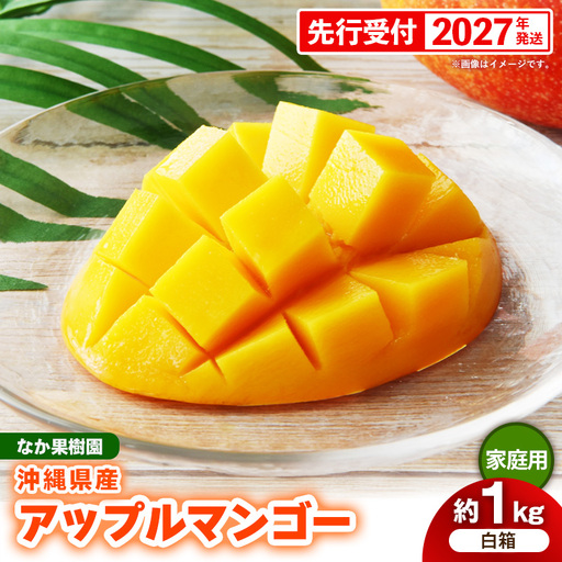 【先行受付】【2027年発送】なか果樹園 アップルマンゴー 家庭用 約1kg （白箱）- 産地直送 先行予約 沖縄県産 ご自宅用 南国フルーツ 旬の味覚 オススメ 沖縄県 八重瀬町