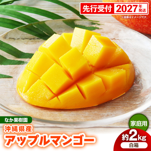 【先行受付】【2027年発送】なか果樹園 アップルマンゴー 家庭用 約2kg （白箱）- 産地直送 先行予約 沖縄県産 ご自宅用 南国フルーツ 旬の味覚 オススメ 沖縄県 八重瀬町