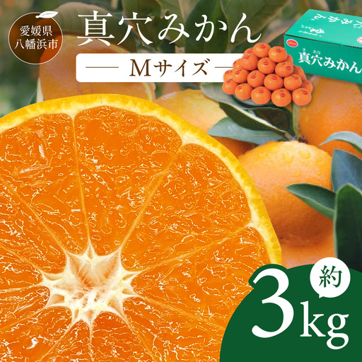 【先行受付】真穴みかん【Mサイズ】 約3kg【D43-10】【1654524】 YWTAG010