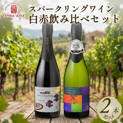 丹波ワイン スパークリングワイン 白赤飲み比べ 750ml 2本 セット ワイン