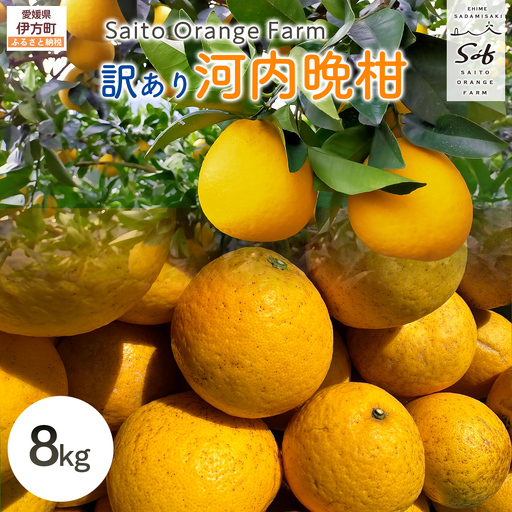 【先行予約】Saito Orange Farmの訳あり河内晩柑8kg ※2027年4月下旬頃より順次発送予定 IKTAQ005