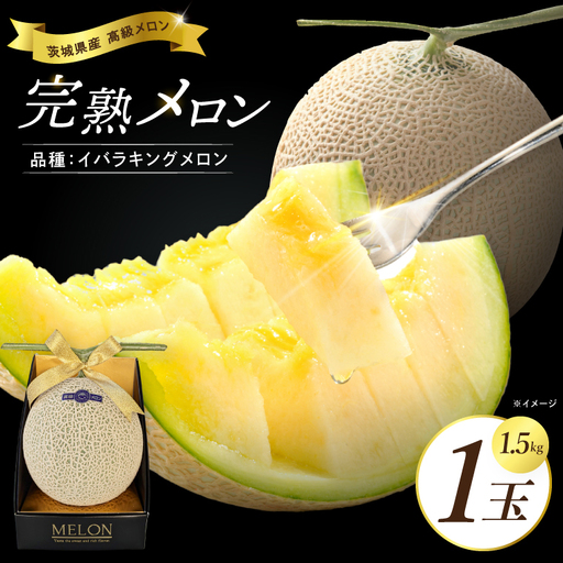 【先行予約】【2027年5月より順次発送】完熟 メロン イバラキング 1玉 │ 1.5kg フルーツ 産地直送 高級 贈答用 （CK001）