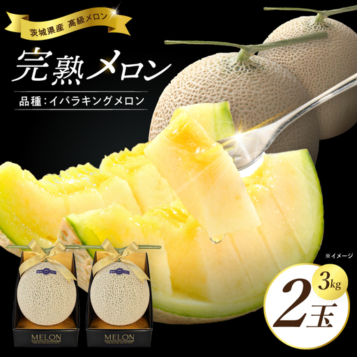 【先行予約】【2027年5月より順次発送】完熟 メロン イバラキング 2玉 │ 3kg フルーツ 産地直送 高級 贈答用 （CK002）