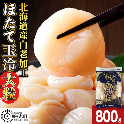 北海道産 白老加工 ホタテ玉冷大(800g)[斉藤水産]