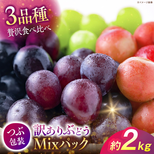 訳ありぶどう3色セット 計約2kg [APCM025] ぶどう