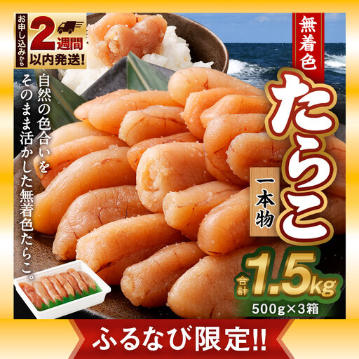 【ふるなび限定】無着色 たらこ (一本物) 1.5kg（500g×3）