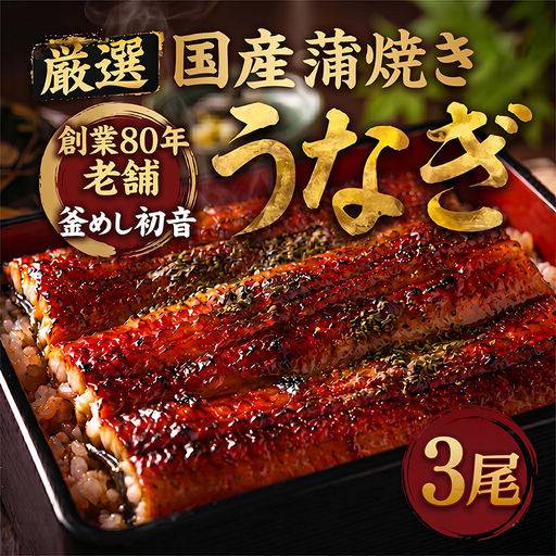 国産鰻蒲焼 3尾 約570g うなぎ 鰻