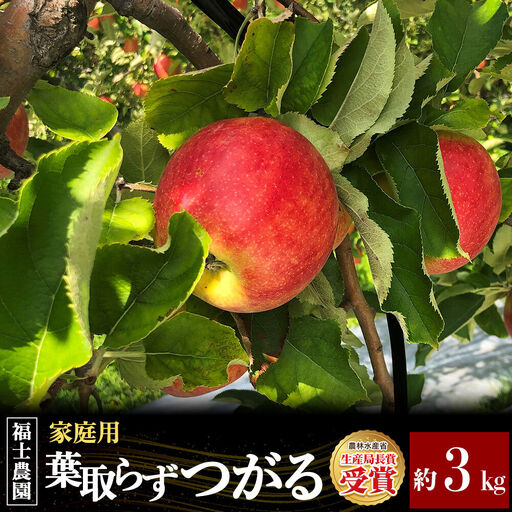 【26年9月発送】りんご 葉とらず つがる【家庭用】約3kg 青森県 弘前市