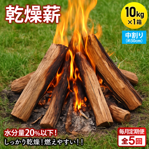 【毎月定期便】乾燥薪 キャンプ用 10kg 中割(約30cm) 広葉樹ミックス全5回【4087725】